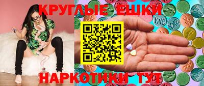 амф Кимры