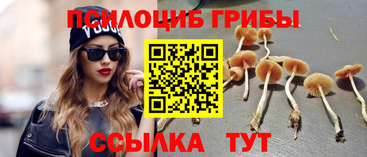 Кизилюрт  Галлюциногенные грибы MAGIC MUSHROOMS  купить  цена  Вход с VPN  Галлюциногенные грибы мицелий 