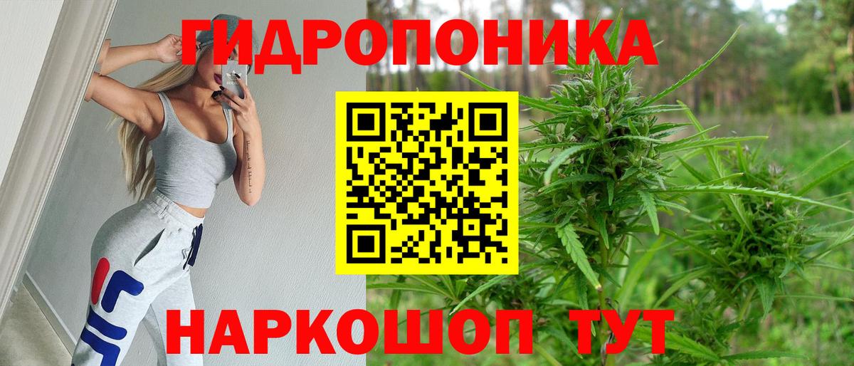 Кизилюрт  Конопля гибрид  Марихуана конопля  Вход с VPN 